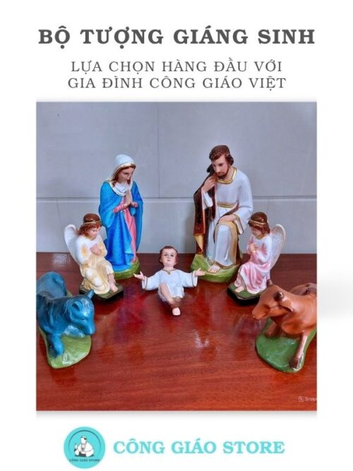 tcgs04 là lựa chọn hàng đầu cho gia đình Việt