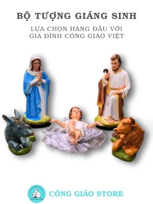 tcgs09 là lựa chọn hàng đầu cho gia đình Việt